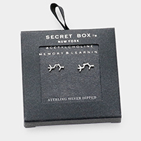 Secret Box _ Sterling Silver Dipped Acetylcholine Hormone Molecule Earrings