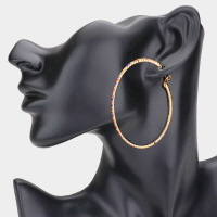 Rhinestone Embellished Hoop Earrings