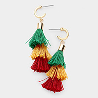 Multi Color Tassel Drop Earrings 