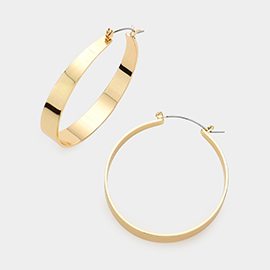 Metal Hoop Pin Catch Earrings