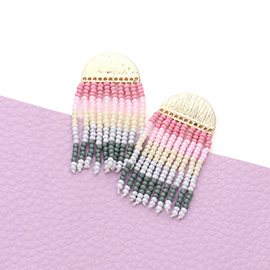 Colorful Seed Bead Fringe Dangle Earrings