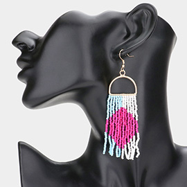 Seed Beaded Fringe Dangle Earrings