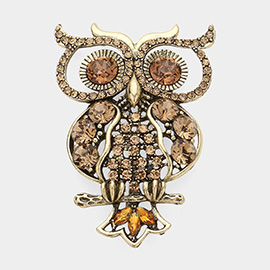 Stone Embellished Owl Pin Brooch