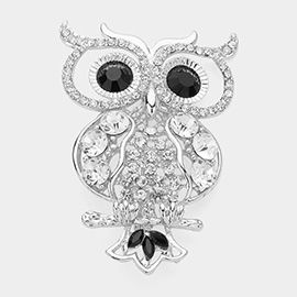 Stone Embellished Owl Pin Brooch