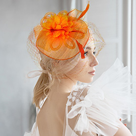 Bow Flower Feather Mesh Fascinator / Headband