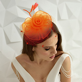 Flower Feather Mesh Fascinator / Headband