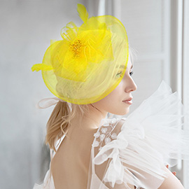 Bow Flower Feather Mesh Fascinator / Headband