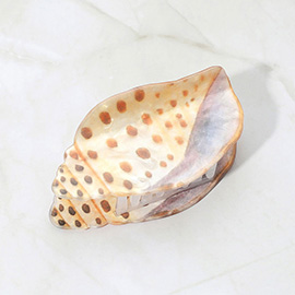 Spotted Miter Shell Hair Claw Clip